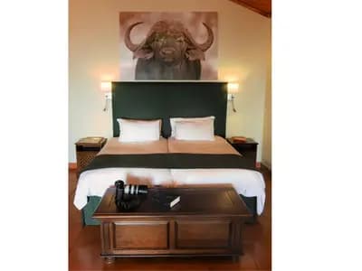Buffalo Suite